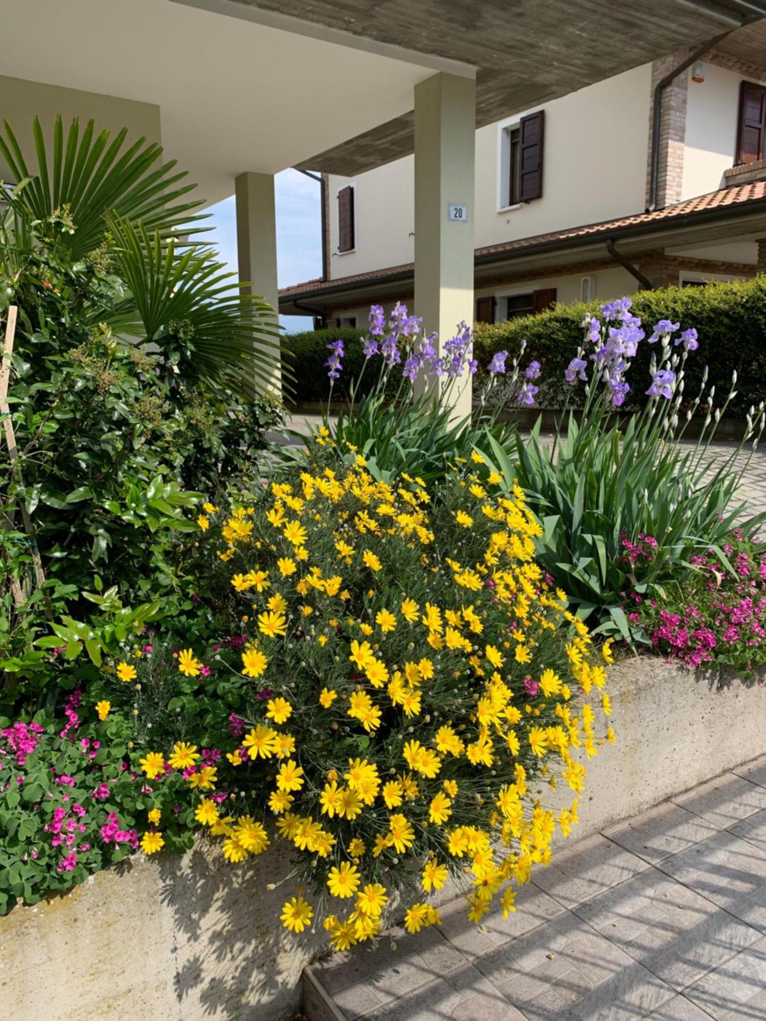 B&B La Salina Cannuzzo Exteriér fotografie